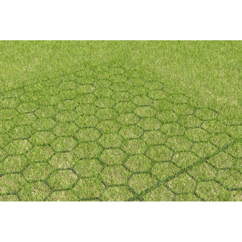 Plaque consolidation pour gazon Greenplac Jouplast