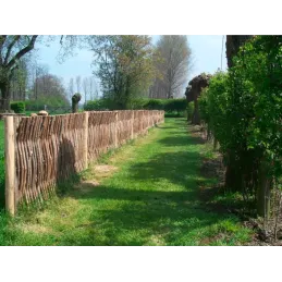 Panneau noisetier en tressage vertical