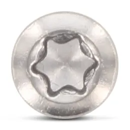 100 vis terrasse – Inox A2 – 5.0x60/39 – TX25 – tête cylindrique – T-Drill