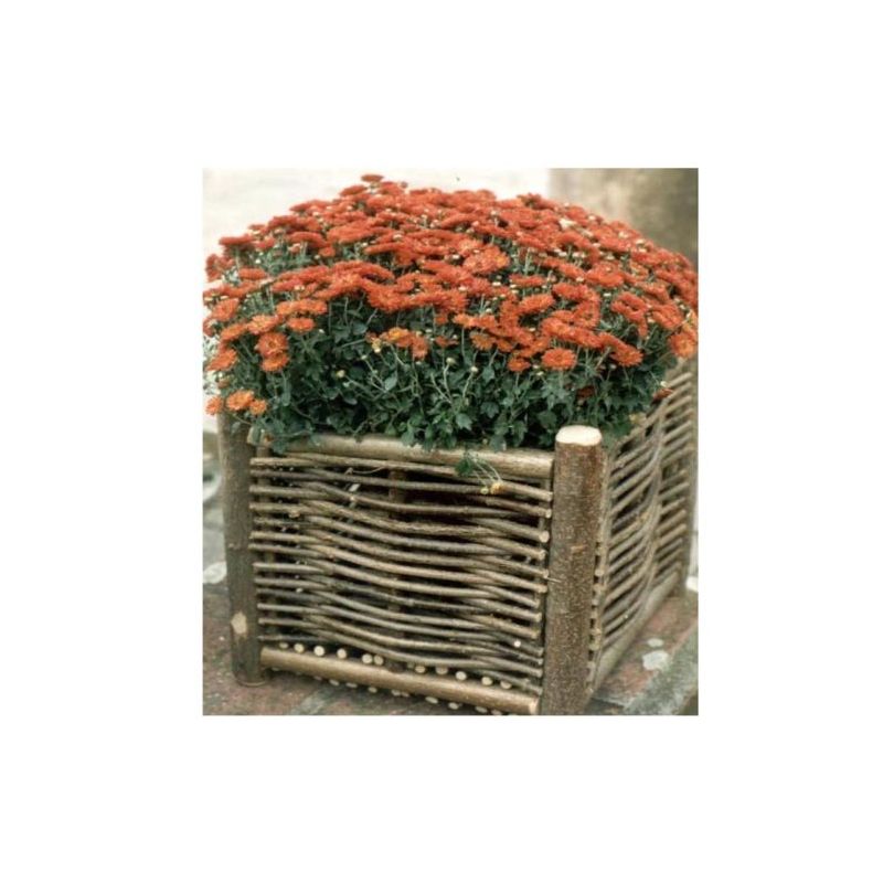Jardinière en bois de noisetier tressé - 2 tailles disponibles Jardinière en bois de noisetier tressé - 2 tailles disponibles