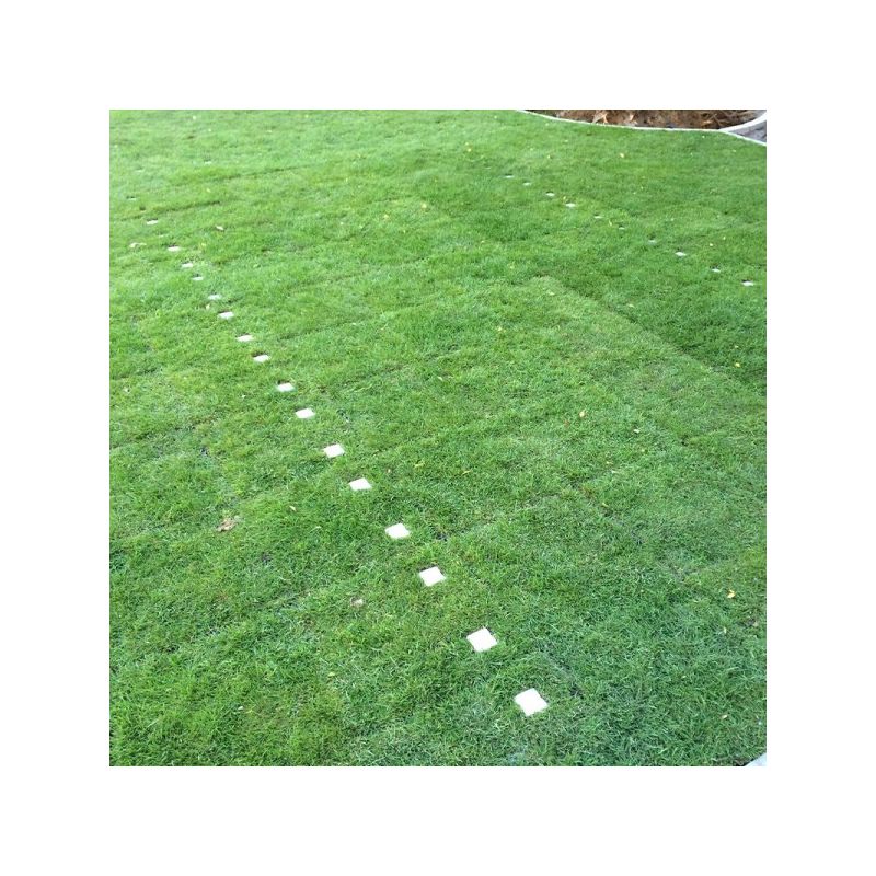 Plot de marquage Marker IG040 pour dalle gazon Nidaplast