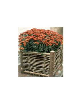 Jardinière en bois de noisetier tressé - 2 tailles disponibles