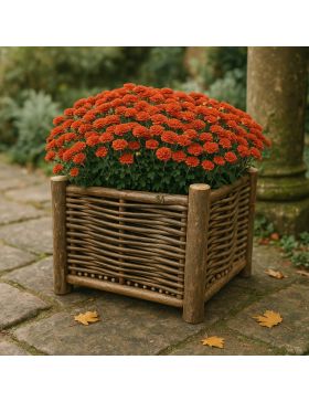Jardinière en bois de noisetier tressé - 2 tailles disponibles