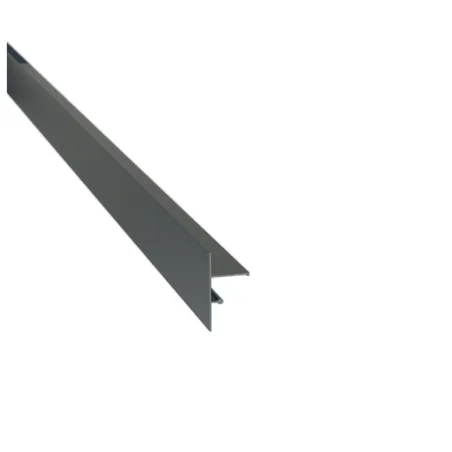 Profilé de finition clipsable - Laqué anthracite (Lot de 2)