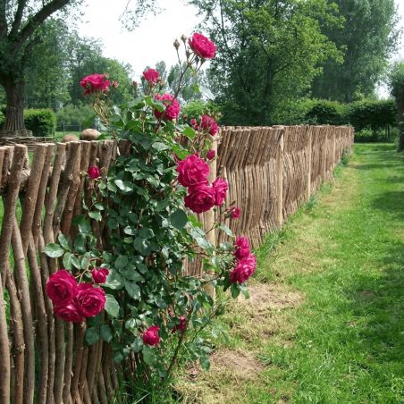 Panneau cloture noisetier en tressage vertical - 3 tailles disponibles