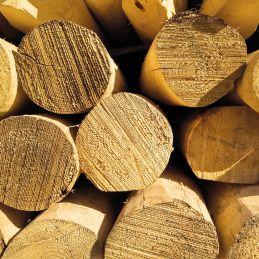 Piquet en châtaignier - 80/10 L2m00