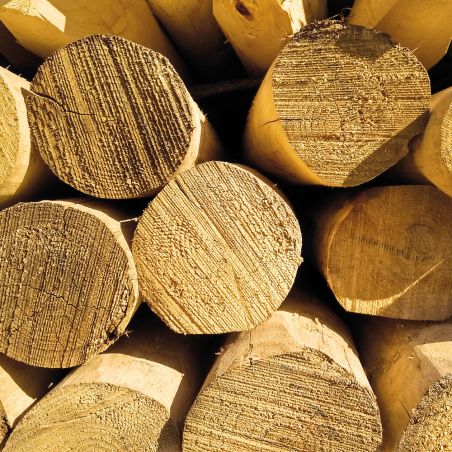 Piquet en châtaignier -