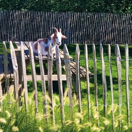 Rouleau de ganivelle en châtaignier - L5m00 - EC 3-4cm