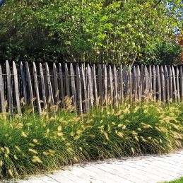 Rouleau de ganivelle en châtaignier - L5m00 - EC 3-4cm