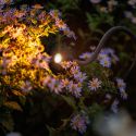 Luminaire XIBLE
