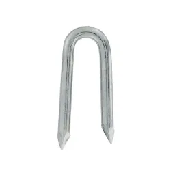 Crampillon galva lisse - Carton de 3 kg