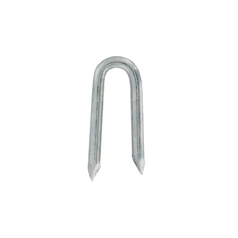 Crampillon galva lisse - Carton de 3 kg