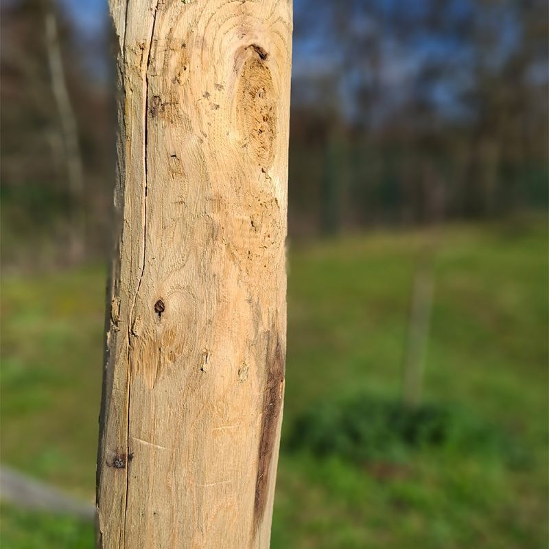 Piquet en châtaignier - 80/10 L2m00