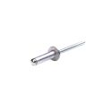 Rivet pour lambourde Structusol - Carton de 500 pièces - Solidor