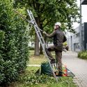 Taille-haies sur perche fixe - QUIK-LOK Combi-système - Milwaukee