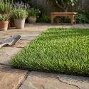 Gazon synthétique Cambridge - 2m x 12,5m (25m²) - Green Avenue