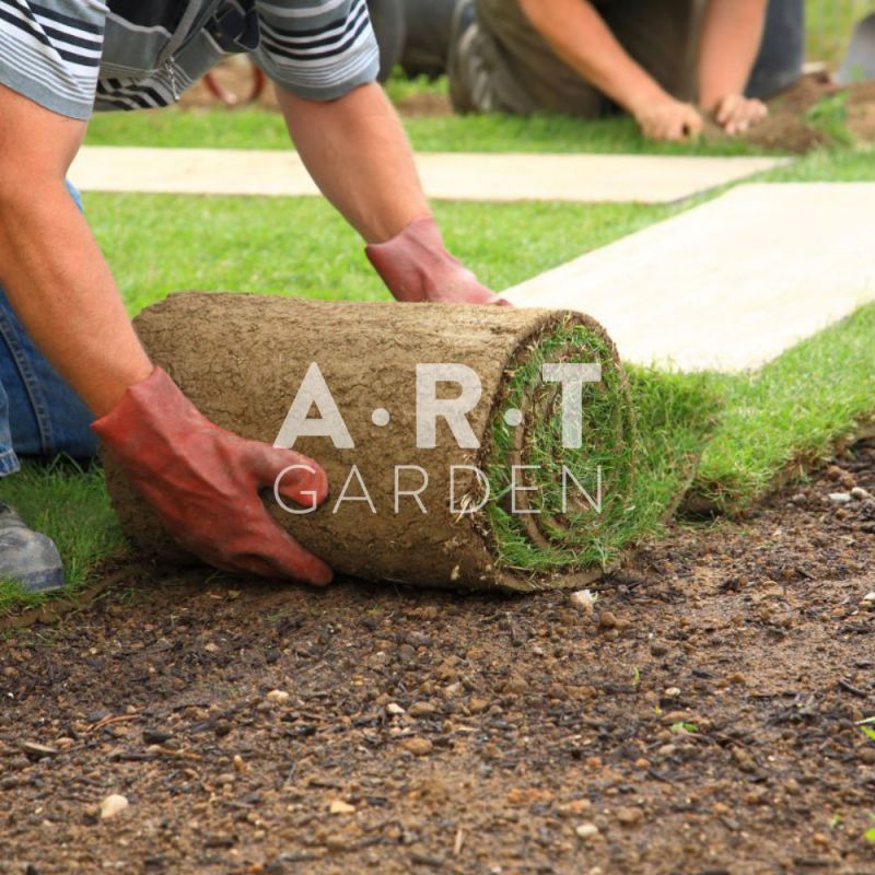 Gazon en rouleau, bien dense à partir de 2 € qualité professionnelle