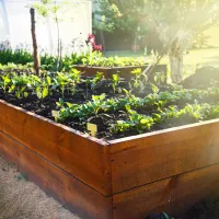 Carré potager naturel | Art Garden