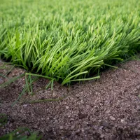 Gazon synthétique | Art Garden