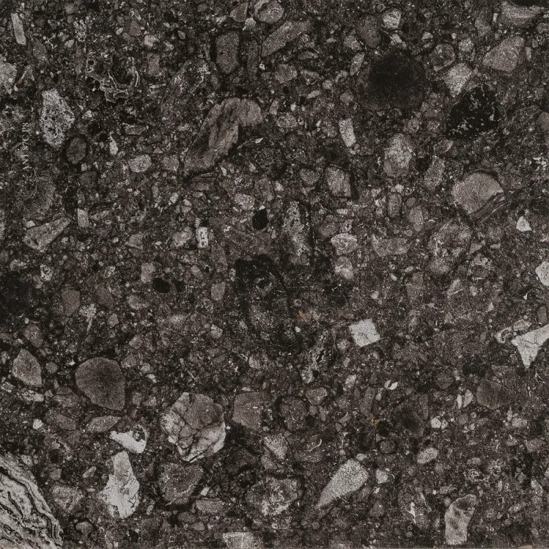 Carrelage extérieur 120x120