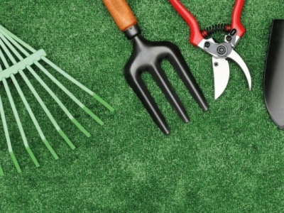 Printemps : que faire au jardin ? 